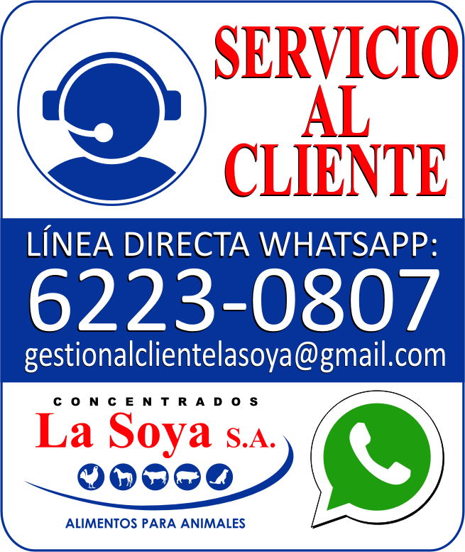 SERVICIO AL CLIENTE