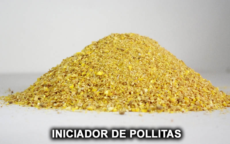 INICIADOR DE POLLITAS