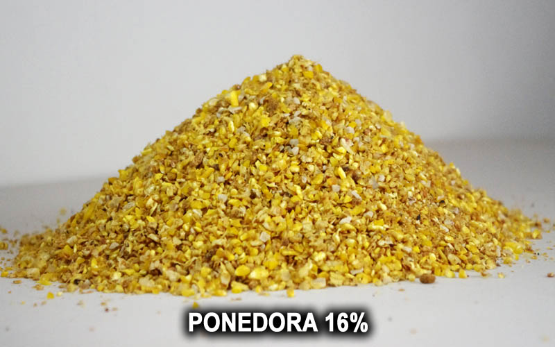 PONEDORA 16%