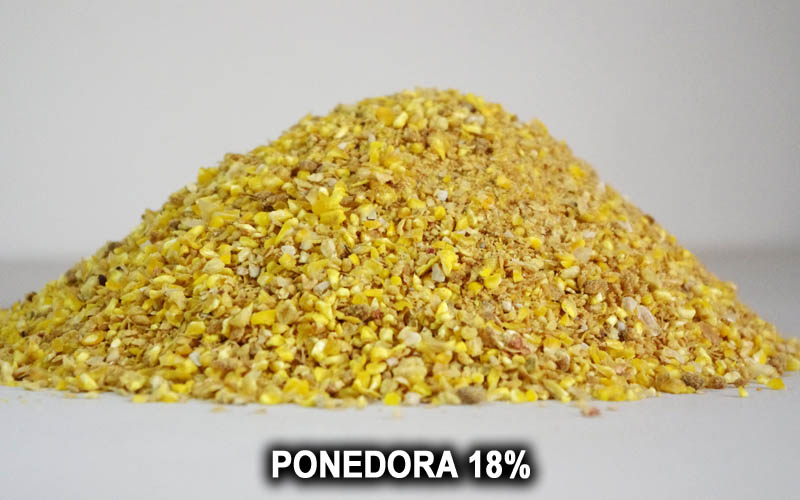 PONEDORA 18%