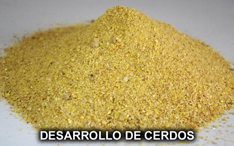 DESARROLLO DE CERDOS