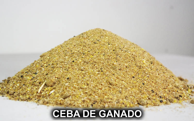 CEBA DE GANADO