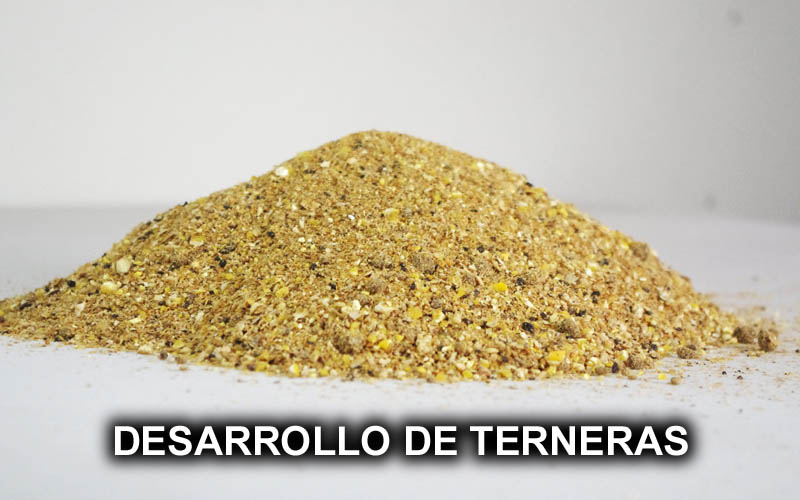 DESARROLLO DE TERNERAS