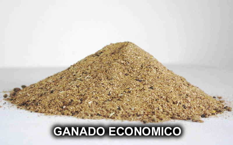 GANADO ECONOMICO