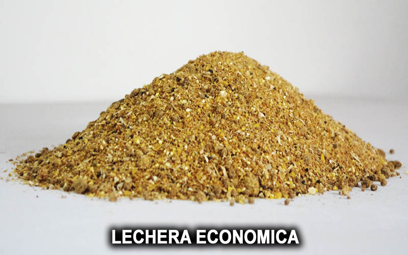 LECHERA ECONOMICA