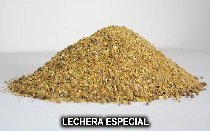 LECHERA ESPECIAL