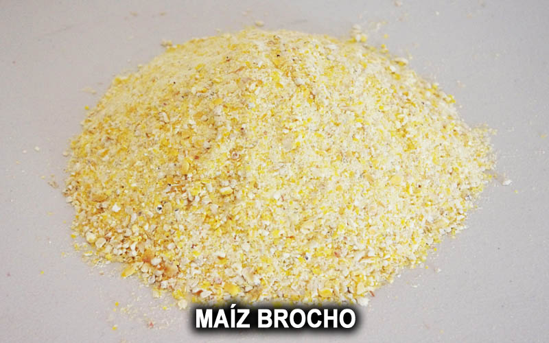 MAIZ BROCHO