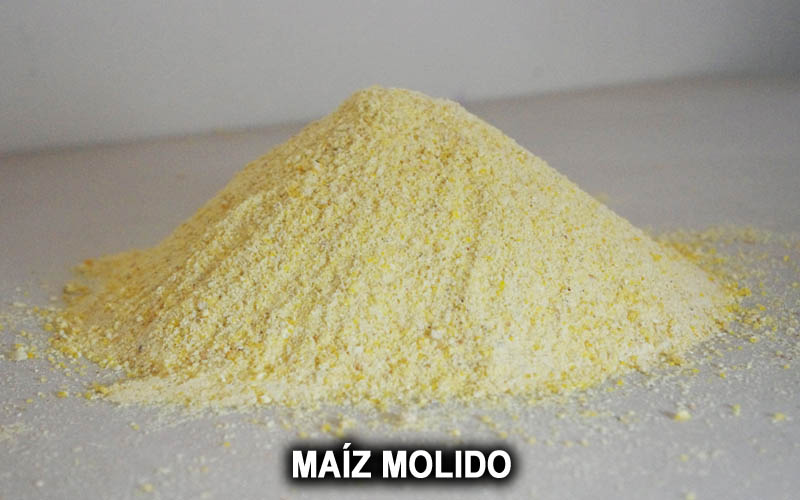 MAIZ MOLIDO