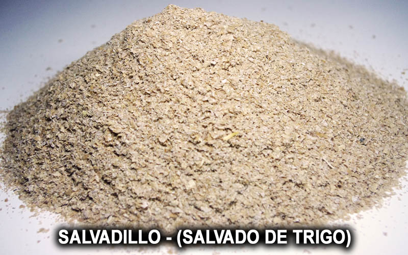 SALVADILLO (SALVADO DE TRIGO)